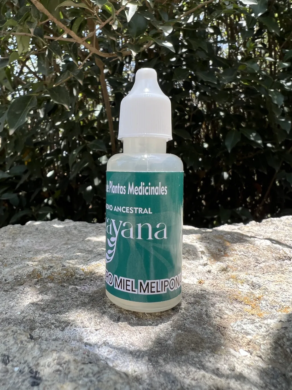 Discover the powerful African Dairy and Melipona Honey Tincture! This extraordinary elixir is designed to offer you a wide range of benefits that not only improve your well-being, but also protect you.