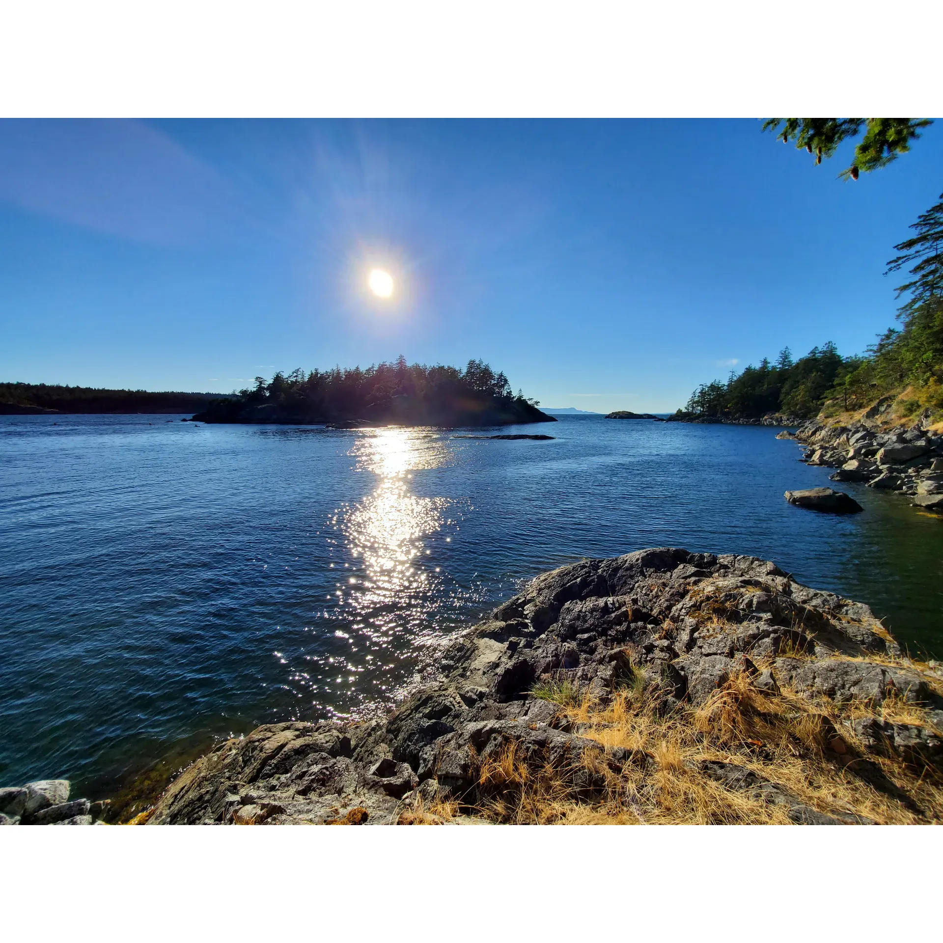 Smuggler Cove Marine Provincial Park Trail Head offers an enchanting outdoor adventure through diverse terrains and captivating landscapes. Visitors often rave about the picturesque quality of this area, declaring it one of the most beautiful destinations on the island. The approximately 7km trail is an invigorating journey, complete with ample stairs and docks that present an enjoyable challenge and offer unparalleled views that are simply delightful.

As you embark on this scenic hike, you'll traverse a variety of landscapes, including charming boardwalks that meander through a serene swamp and winding paths that take you over rolling forested hills, where the sound of woodpeckers fills the air. The rocky sections grant hikers dramatic ocean vistas, adding to the overall charm and appeal of the hike. The well-maintained trail affords several vantage points along the way, each offering a new perspective on the surrounding beauty and an opportunity for rest and reflection.

The trail culminates in a stunning view of the cove and island, providing a sense of accomplishment and awe for those who reach the end. Along the journey, the boardwalks reveal marshland waters that eventually lead to the oceanic cove with limited beach access. Here, visitors can enjoy calm moments on the benches, observing sailboats glide by and birds soaring overhead amidst impressive arbutus trees and cedars. The marshlands are a particular delight for birdwatchers, with various species of ducks to be seen.

This fairly easy trail accommodates a wide range of hikers, with modest challenges such as navigating roots and rocks. It is a dog-friendly park, though pets must be kept on a leash to preserve the tranquility and protect the ecosystem. Conveniently, there is an outhouse located by the parking area for visitors' comfort.

Ultimately, Smuggler Cove Marine Provincial Park Trail Head is a prime destination for those looking to immerse themselves in nature's splendor while enjoying a leisurely hike that promises many picture-perfect moments and serene spots to appreciate the diverse ecology and inhabitants of this magnificent coastal treasure. Description by ChatGPT.