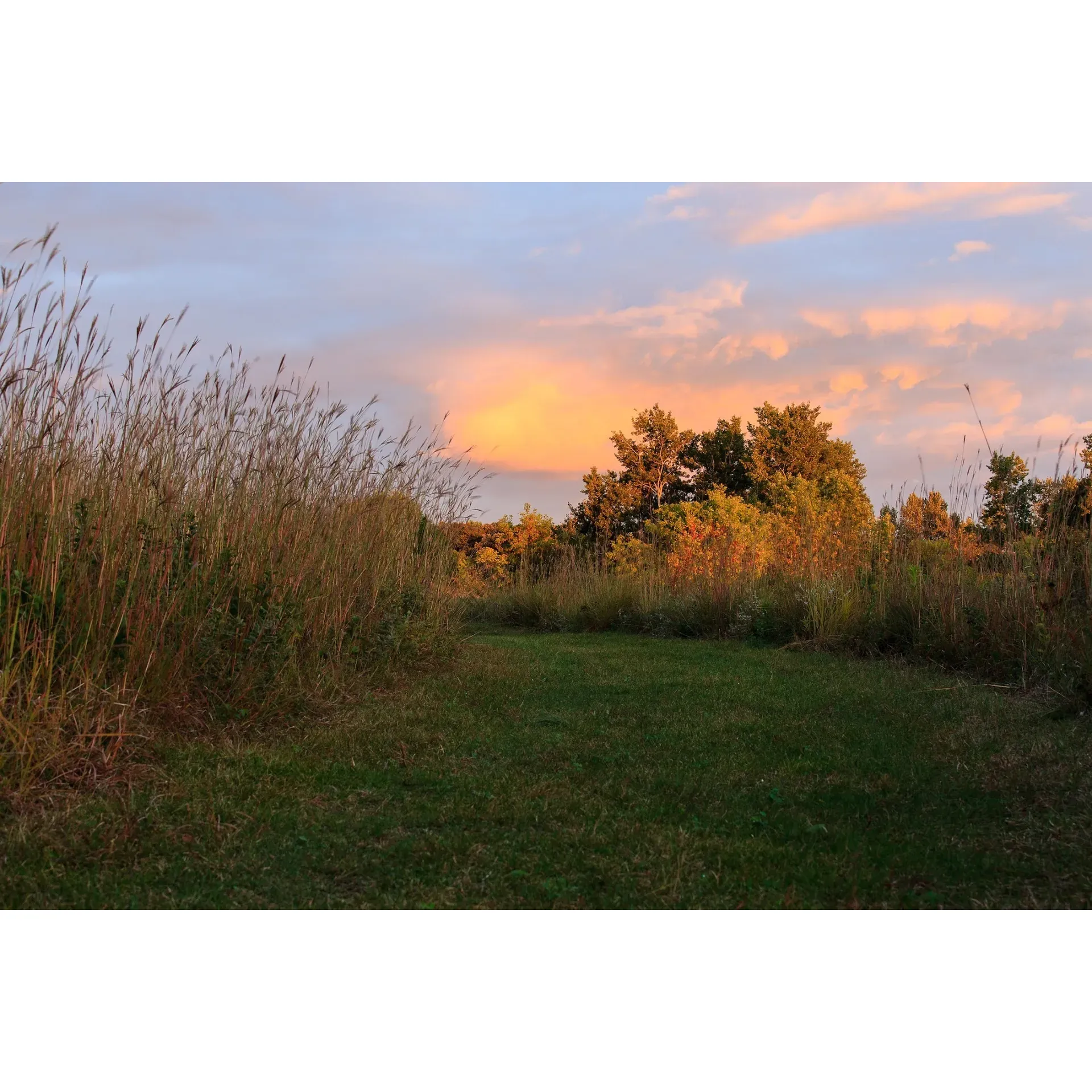 Buffalo River State Park offers the perfect retreat for outdoor aficionados and camping enthusiasts seeking a serene getaway. Renowned for its spacious and well-maintained campsites, visitors can expect a high level of comfort during their stay. The park boasts a superb bathhouse that's regularly commended for its cleanliness, privacy, and the luxury of hot water - all of which contribute to an enjoyable camping experience.

Those journeying through the area will appreciate the generous end sites, with Site 16E standing out as a commodious option for setting up camp. While the park is designed to accommodate larger camping vehicles, its landscapes have been crafted to maintain a natural feeling of openness. The harmony of well-preserved prairie lands within the park provides a refreshing contrast to the surrounding farmlands.

Visitors will find solace in the campground's tranquil ambiance, complemented by the soft distant sounds that enhance rather than distract from the park's peaceful atmosphere. For those intrigued by the allure of nature's soundtrack, the occasional distant murmur of a train adds a nostalgic charm to the park's acoustic environment.

Nature lovers will delight in the park's protected prairie ecosystem, which bursts with an array of trees, wildflowers, and grasses. It is a true haven for birdwatchers and enthusiasts of native fauna, who will find the park rich with opportunities for spotting a diverse range of species.

For those drawn to aquatic landscapes, the Buffalo River provides a picturesque element for visitors to admire or explore. Whether you enjoy riverside activities or simply wish to take in the beauty of the gently flowing waters, the park offers a soothing backdrop for leisure and adventure.

Beyond its natural offerings, Buffalo River State Park prides itself on exceptional service, with staff that are not only pleasant but also well-informed to enhance your overall park visit. As a destination suitable for those with trailers or larger rigs, the roads leading to the campground are conveniently designed to ensure accessibility.

Although recognized for its modest size, the park is celebrated for the outstanding quality of its features and the care put into its maintenance. It's a must-visit addition to the list for anyone dedicated to experiencing unique prairie parks. Here, the joy of the outdoors is preserved in a pure, unspoiled form, ready to welcome visitors seeking an escape into nature's embrace. Description by ChatGPT.